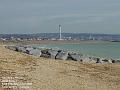 2005-1125shorehambeach
